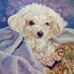 Pet-portrait-commission-Maltese-Jackie-Bourne