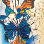 blue-and-orange-butterflies-intersecting-together