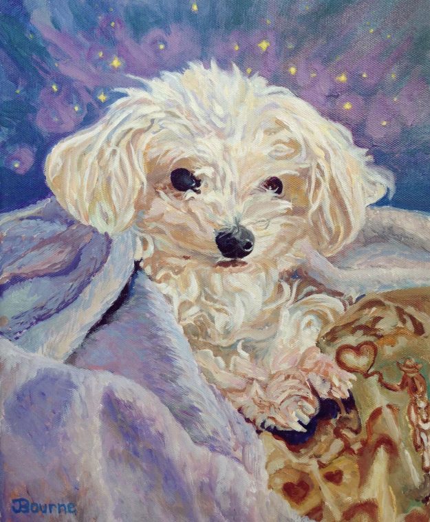Pet-portrait-commission-Maltese-Jackie-Bourne