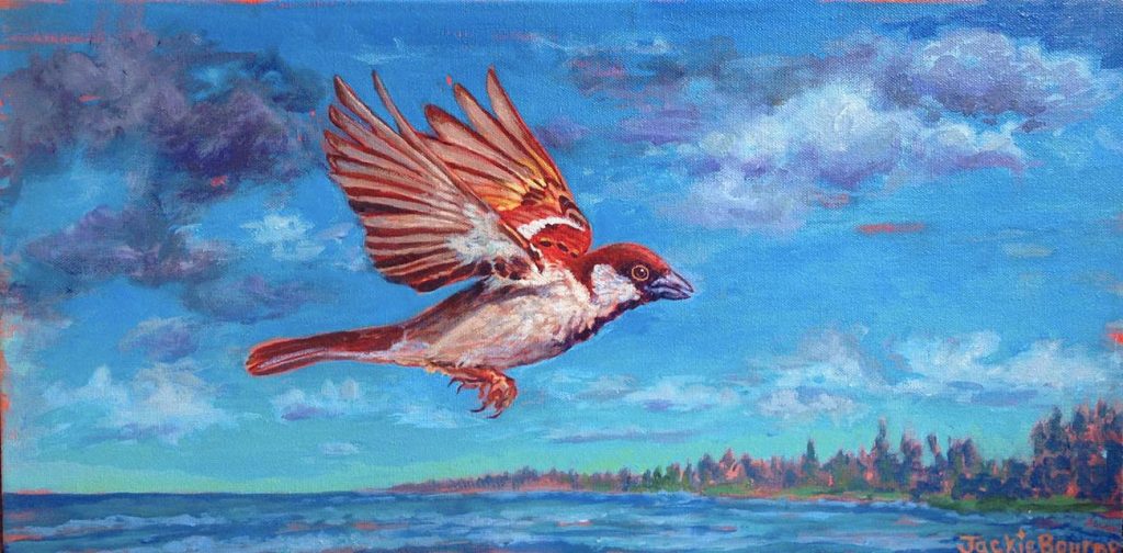 Sparrow in Flight, Acrylic on canvas, 12in x 24in, Commission, © Copyright Jackie Bourne 2016. 