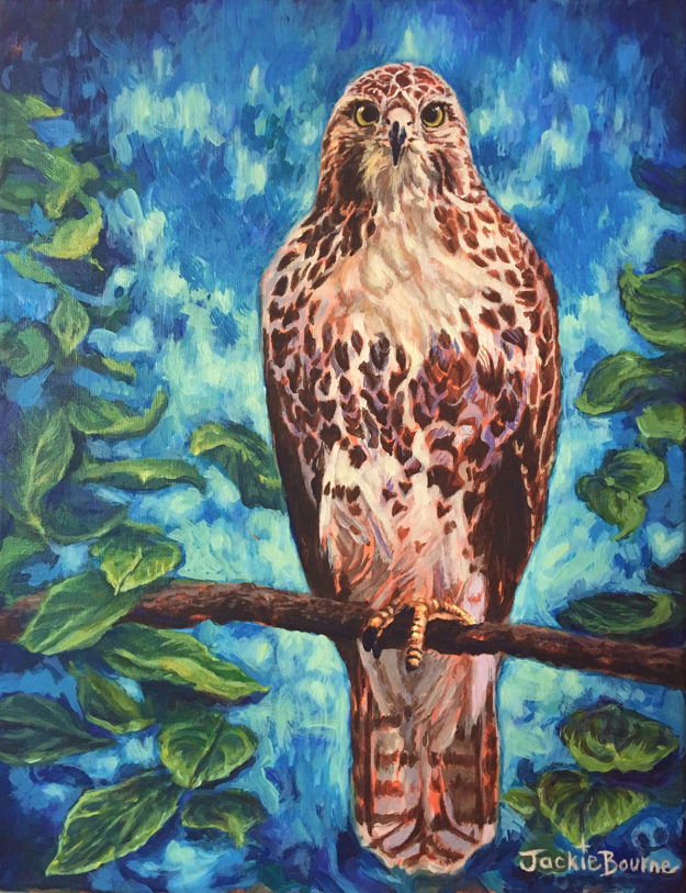 Hawk in Flight, Acrylic on canvas, 14in x 18, prints available <a href="http://www.jackiebourne.com/2019/08/hawk-in-flight-new-painting-acrylic-on-canvas-14in-x-18in/">Read ‘Hawk in Flight’ blog post here</a> red-tailed-hawk-on-branch-painting