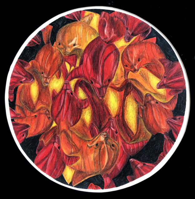 love-and-unity-dolphin-circle-jackie-bourne-art